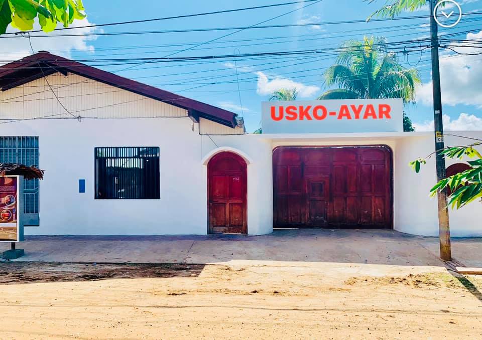 The Usko-Ayar Amazonian School of Painting